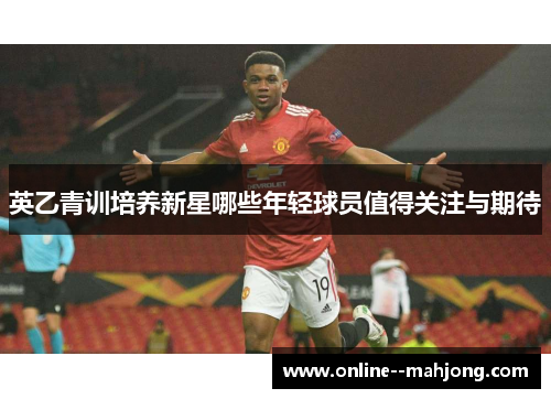 英乙青训培养新星哪些年轻球员值得关注与期待 英乙青训培养新星哪些年轻球员值得关注与期待