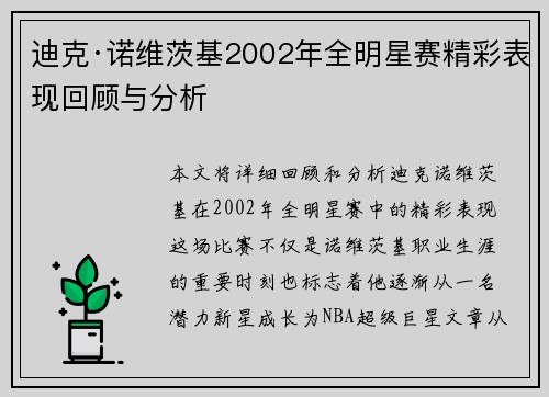 迪克·诺维茨基2002年全明星赛精彩表现回顾与分析